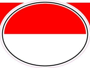 INA Indonesia — Helmet flag design