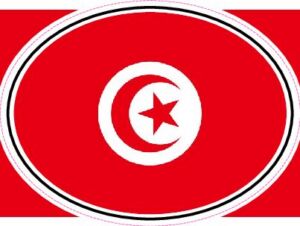 TUN Tunisia — Helmet flag design