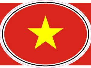 VIE Vietnam — Helmet flag design