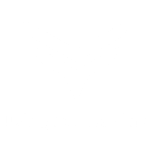 IWSA WingFoil Racing